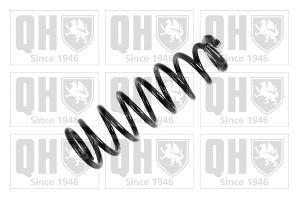 Suspension Spring (QCS5584)