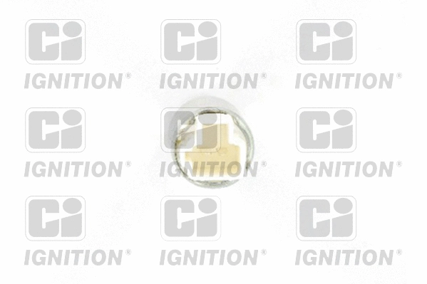 Switch, cruise control (XBLS295)