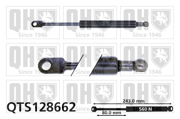 Gas Spring, rear window (QTS128662)
