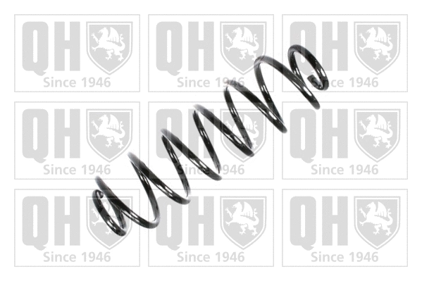 Suspension Spring (QCS8050)