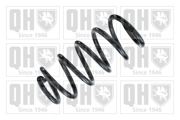 Suspension Spring (QCS8588)