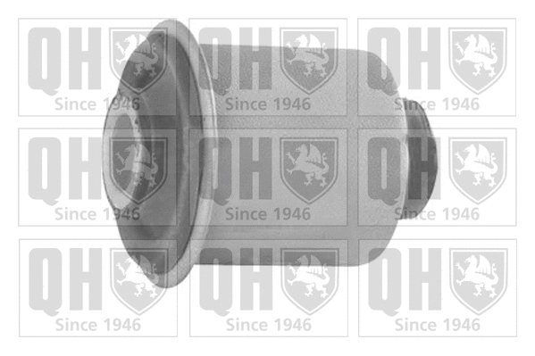 Mounting, control/trailing arm (EMS8364)
