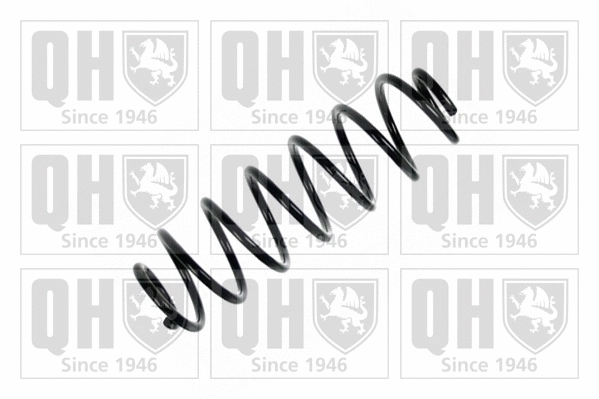 Suspension Spring (QCS7621)