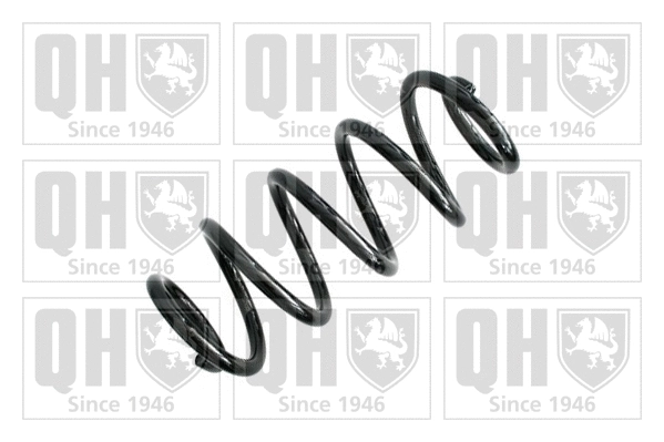 Suspension Spring (QCS5031)