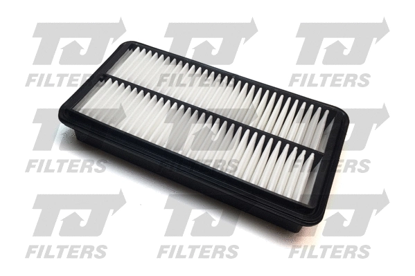 Air Filter (QFA0679)