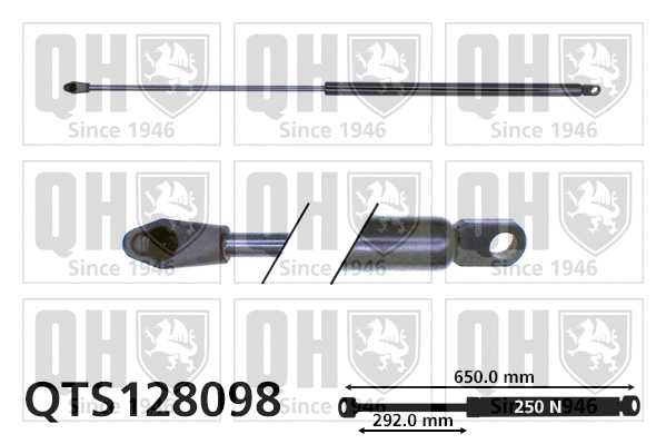 Gas Spring, boot/cargo area (QTS128098)