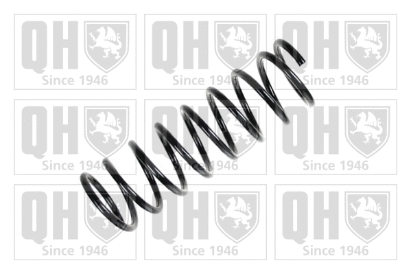 Suspension Spring (QCS6991)