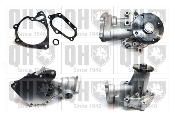 Water Pump, engine cooling (QCP3903)