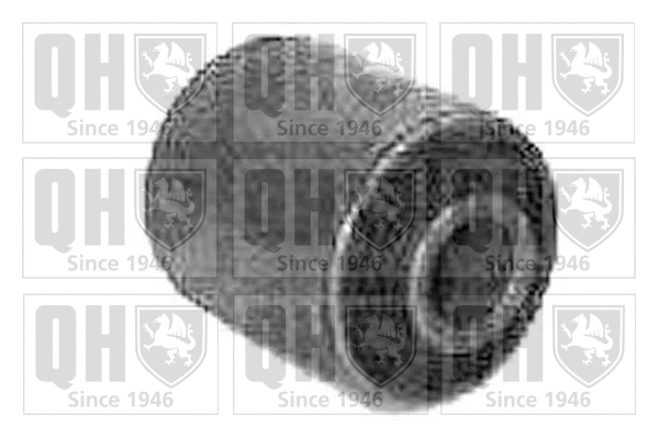 Mounting, control/trailing arm (EMS2208)