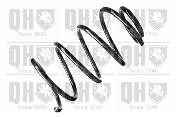 Suspension Spring (QCS8445)