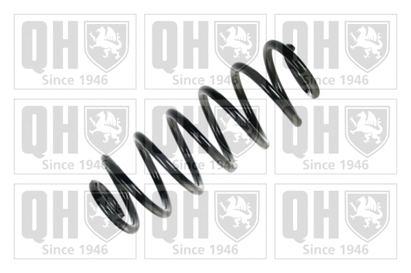 Suspension Spring (QCS7894)
