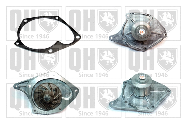 Water Pump, engine cooling (QCP3629)