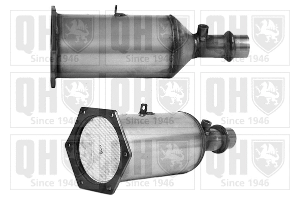 Soot/Particulate Filter, exhaust system (QDPF11002P)