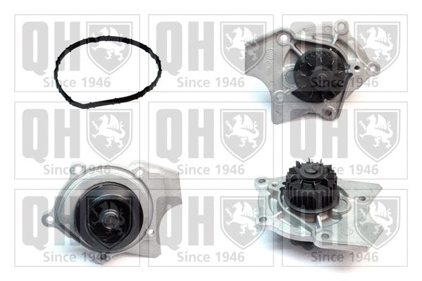 Water Pump, engine cooling (QCP3719)