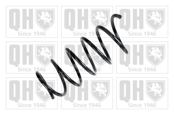 Suspension Spring (QCS8242)