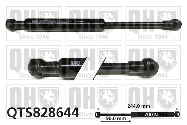 Gas Spring, bonnet (QTS828644)