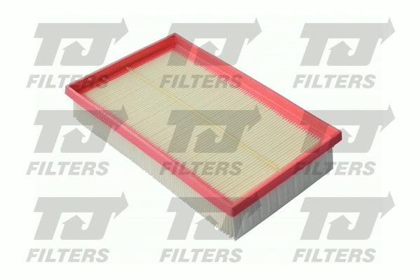 Air Filter (QFA0875)