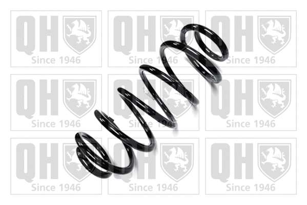 Suspension Spring (QCS6472)