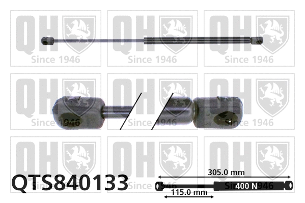 Gas Spring, boot/cargo area (QTS840133)