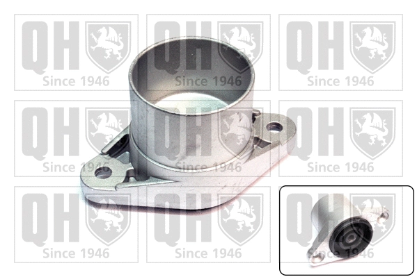 Suspension Strut Support Mount (EMR4973)