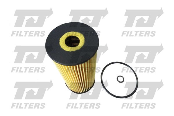 Oil Filter (QFL0162)
