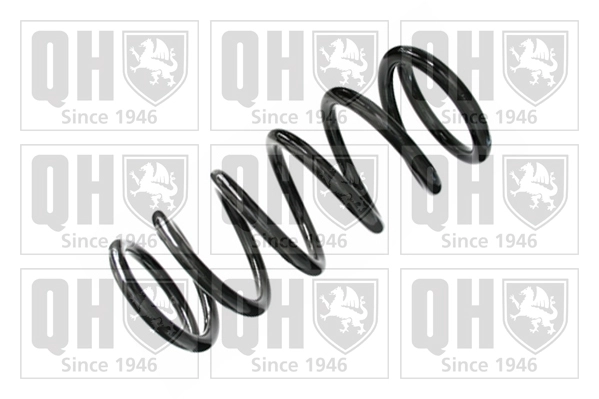 Suspension Spring (QCS8393)