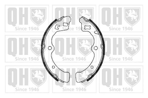 Brake Shoe Set (BS705)