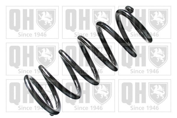 Suspension Spring (QCS7810)