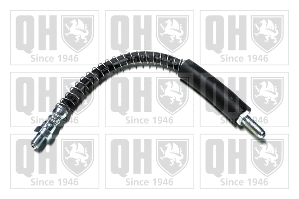 Brake Hose (BFH1119)