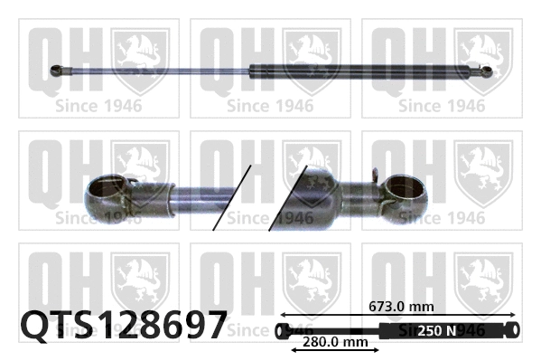 Gas Spring, bonnet (QTS128697)