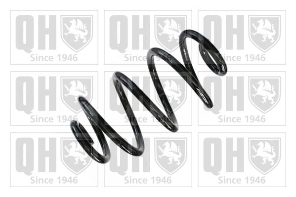 Suspension Spring (QCS5867)