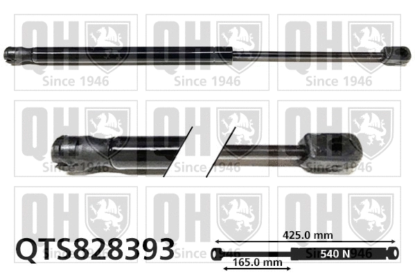 Gas Spring, boot/cargo area (QTS828393)