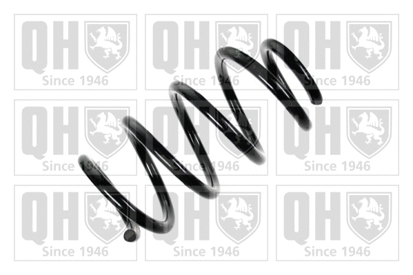 Suspension Spring (QCS5534)
