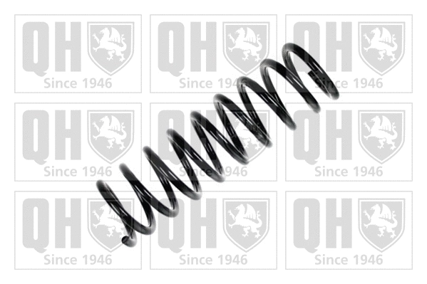 Suspension Spring (QCS6105)