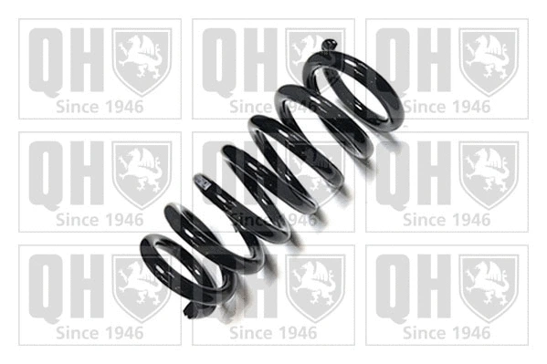 Suspension Spring (QCS7367)