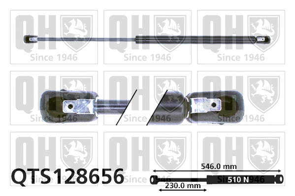 Gas Spring, boot/cargo area (QTS128656)