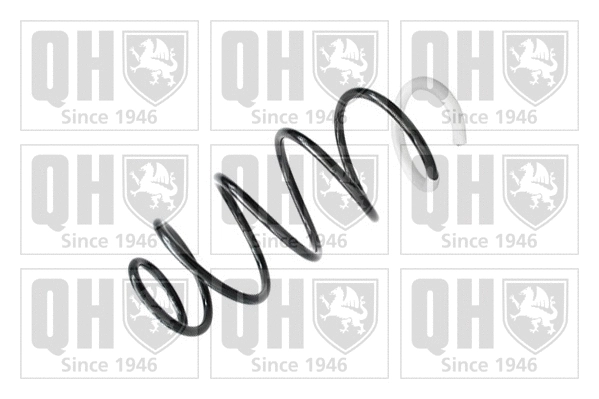Suspension Spring (QCS7946)