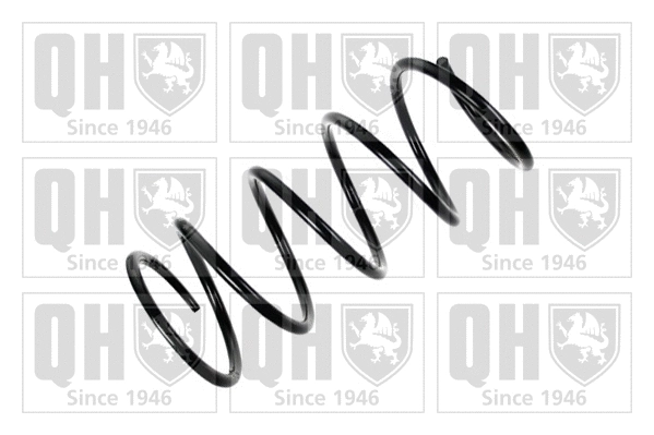 Suspension Spring (QCS6862)