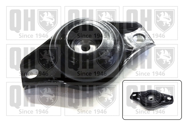 Suspension Strut Support Mount (EMR4900)