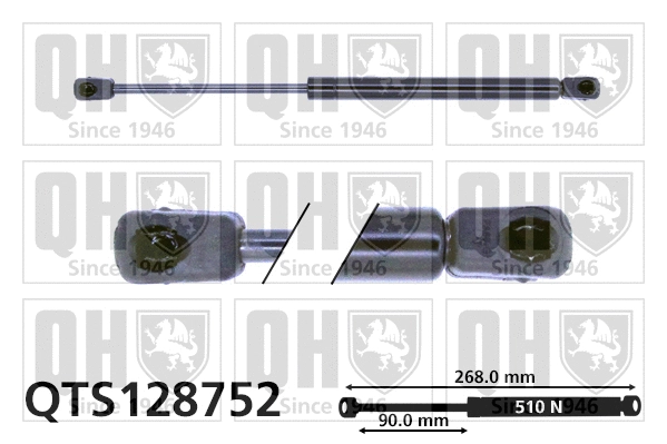 Gas Spring, boot/cargo area (QTS128752)