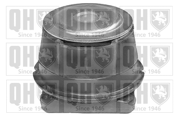 Mounting, control/trailing arm (EM4083)