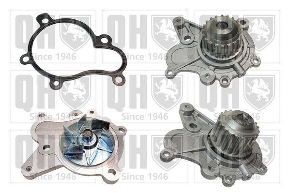 Water Pump, engine cooling (QCP3671)