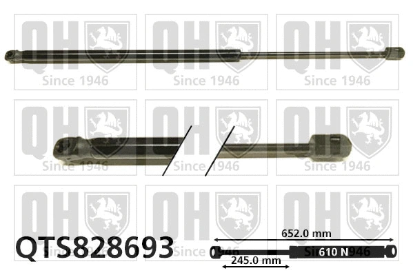 Gas Spring, boot/cargo area (QTS828693)