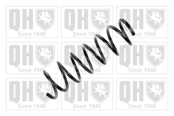 Suspension Spring (QCS6338)