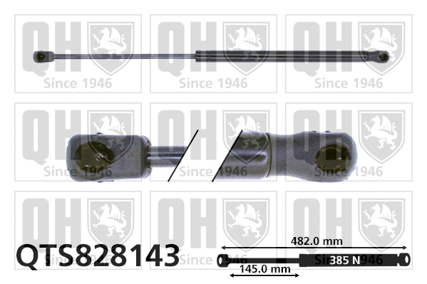 Gas Spring, bonnet (QTS828143)