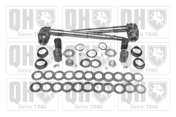Repair Kit, kingpin (QP650TC)