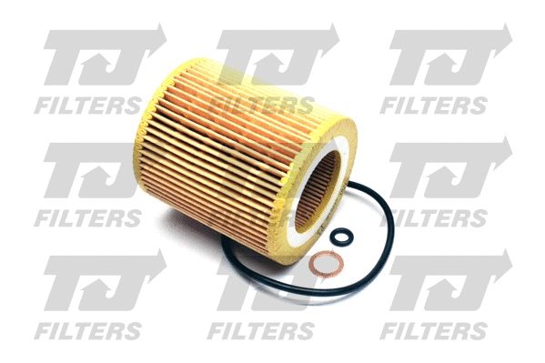 Oil Filter (QFL0247)