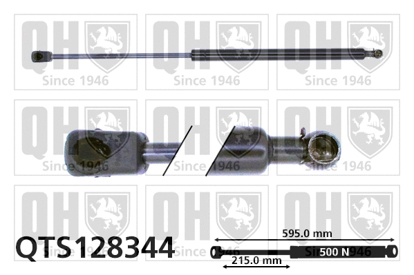 Gas Spring, boot/cargo area (QTS128344)