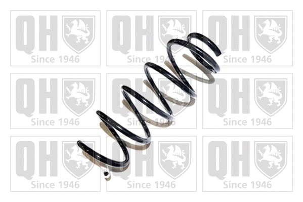 Suspension Spring (QCS6038)