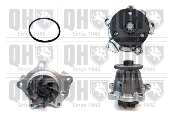 Water Pump, engine cooling (QCP2887)